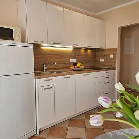 With A Parking Space - 22514 Apartment Crikvenica