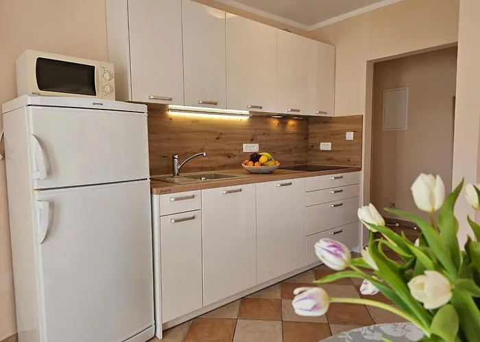 With Parking Space - 22514 דירה קריקווניצה